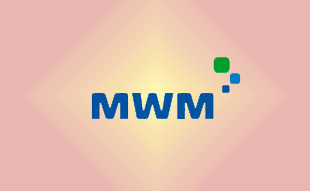 ✓ MWM 0331 2789 Запчасть MWM 